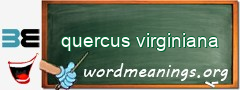 WordMeaning blackboard for quercus virginiana